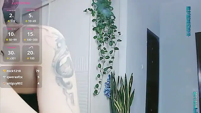 sasating webcam