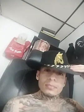 stivwar webcam