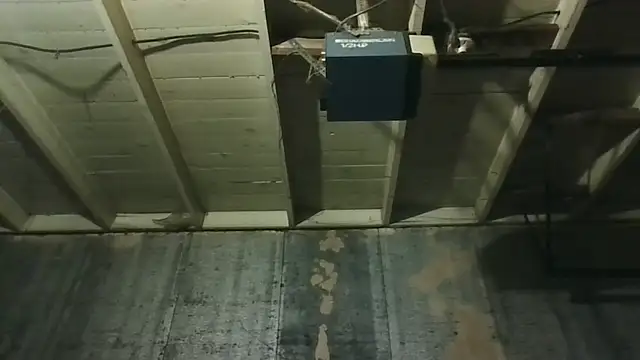 Leo99842 webcam