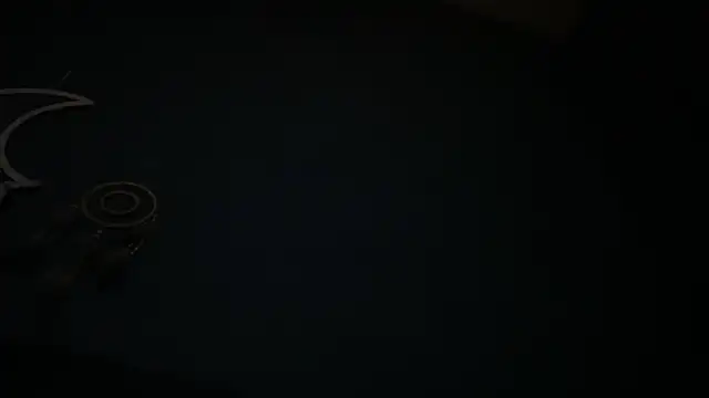 icebergslim281 webcam