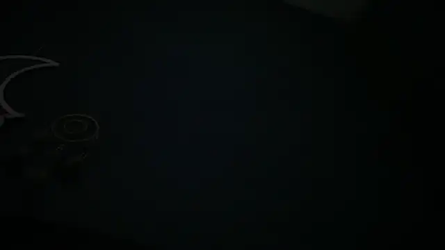 icebergslim281 webcam
