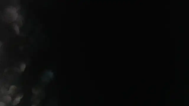 Sophia_your webcam