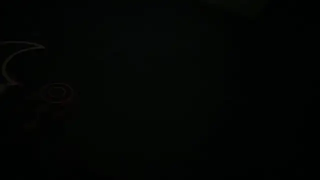 icebergslim281 webcam