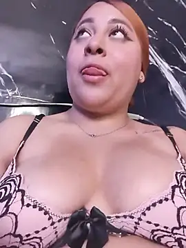 venuscopper webcam