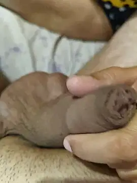 MadaamJizz_DickLewd webcam
