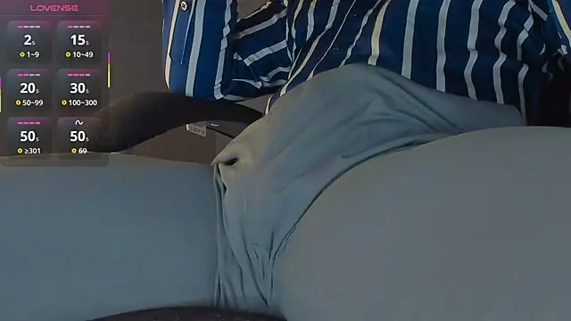 BulgeArt webcam