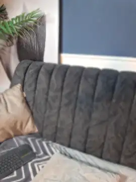 Susan_wall webcam