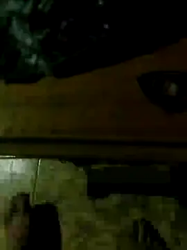 Elchabondestrip webcam