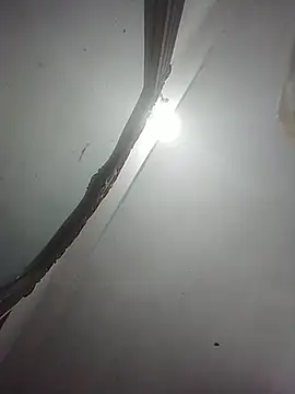 momo_loves webcam
