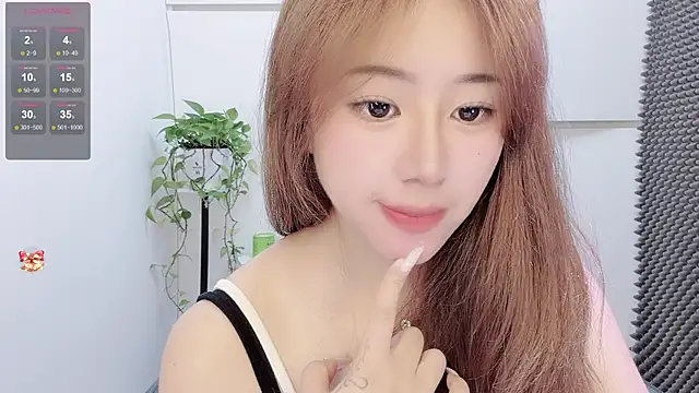 Baixi-01 webcam