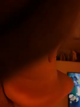 shadowvel webcam