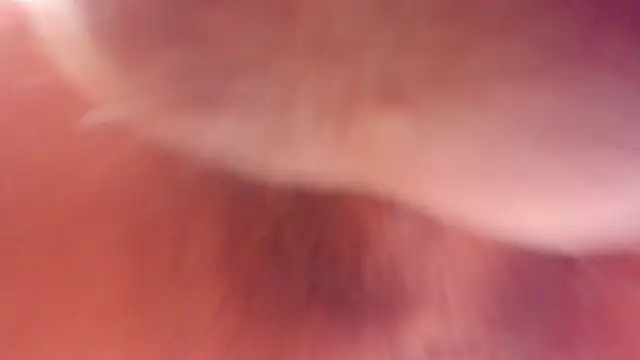 Darwinstark_ webcam
