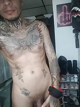 stivwar webcam