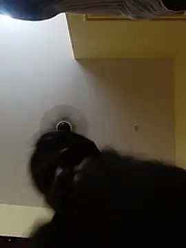 ashwini805057 webcam