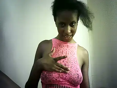 DelteAfriq webcam