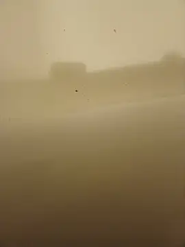 Jazzythorn88 webcam