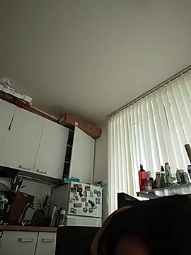 kotkite webcam