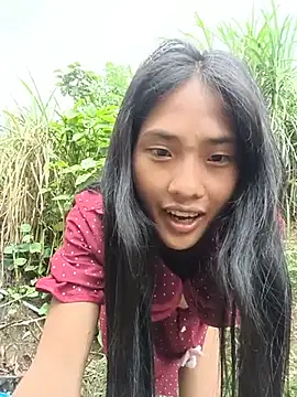 Hoa-tuylip