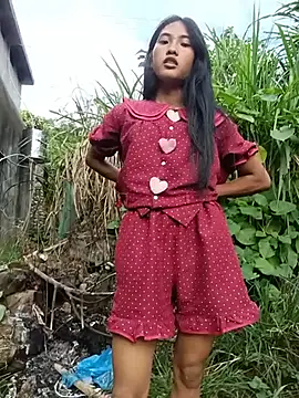Hoa-tuylip webcam