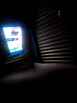 LUis3194 webcam