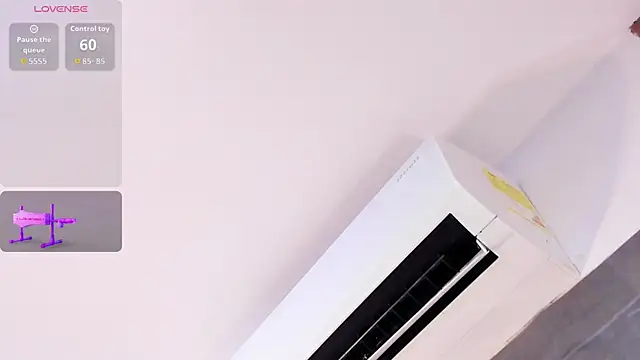 catalina_spec webcam