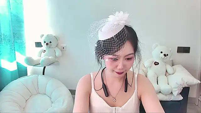 swie111 webcam