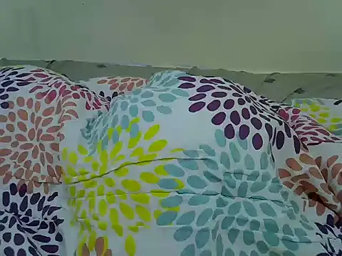 prettyjerule webcam