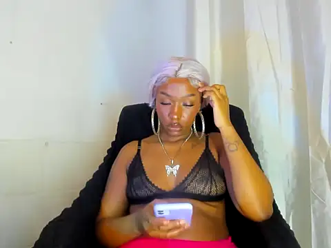 Ms171 webcam
