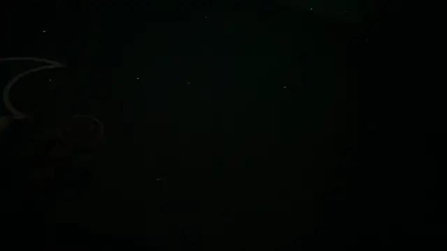 icebergslim281 webcam