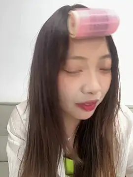YY-1-1-1 webcam
