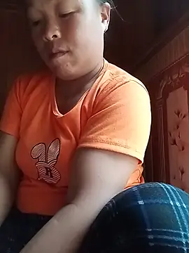 Ip34 webcam