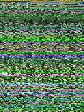 Pirates16 webcam