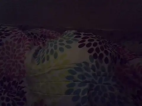 prettyjerule webcam