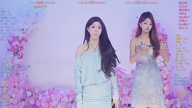 SSF-888 webcam