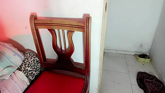 Ladanisha webcam