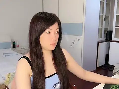 A-Stia webcam