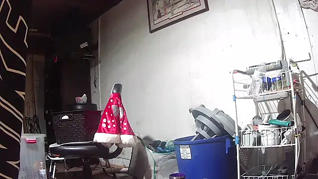 jaxx12369 webcam