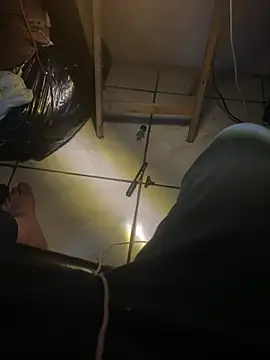 ChipichipiDFoxy webcam