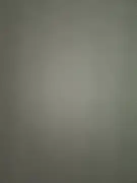 BellaThread webcam