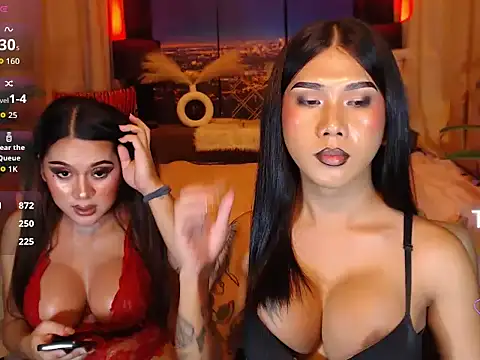 TRANSPORNIDOL webcam