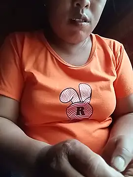 Ip34 webcam
