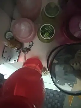 HOT_ISLAND webcam