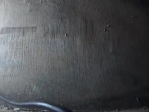 Precumking1 webcam