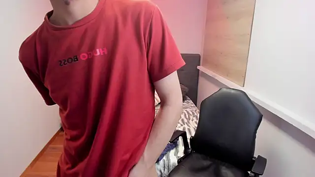 Stich_23 webcam