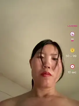 hjlp05 webcam