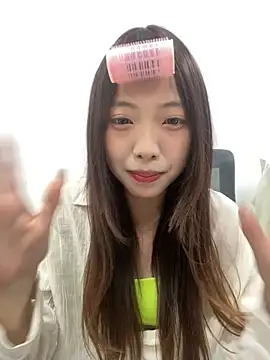 YY-1-1-1 webcam