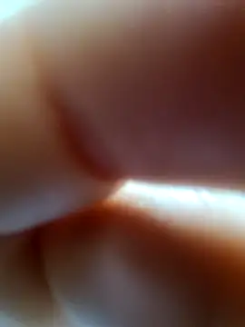 bch1045 webcam