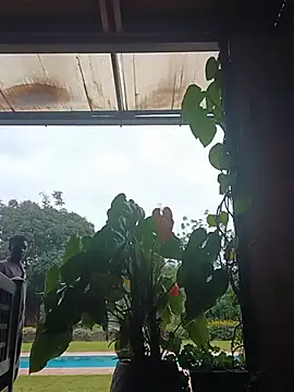 Comingtop webcam