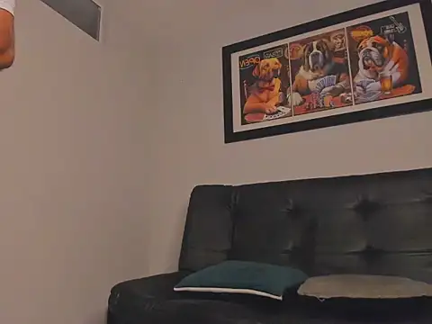 Master_Orioon webcam