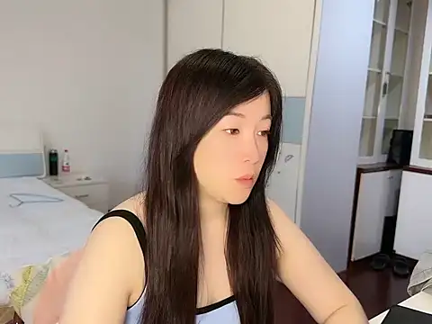 A-Stia webcam